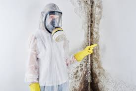 Why You Should Choose Our Mold Remediation Services in Claypool, AZ